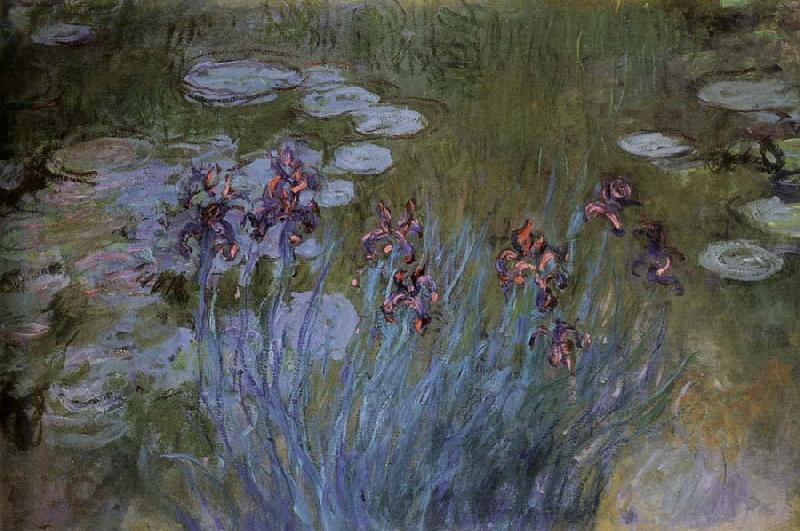 Claude Monet Irises and Water Lillies oil painting picture